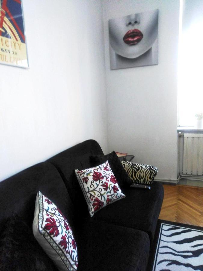 Apartament Stefan Apartment Cluj-Napoca Luaran gambar